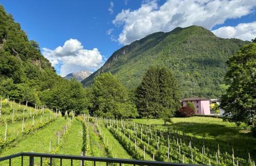 Arbedo-Castione Apartment | Appartamento C5