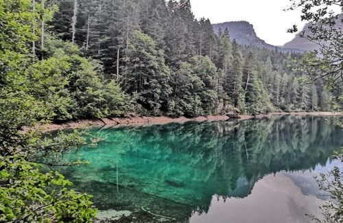 Cles Apartment | Appartamento Cles