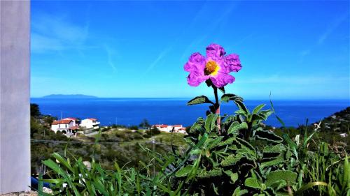 Colle D'orano Apartment | Appartamento Nature Il Colle