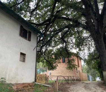 Pontedera Apartment | Appartamento Rustico Toscano nel cuore del bosco