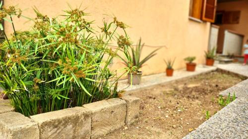 Porto Azzurro Apartment | Appartamento Salvatore