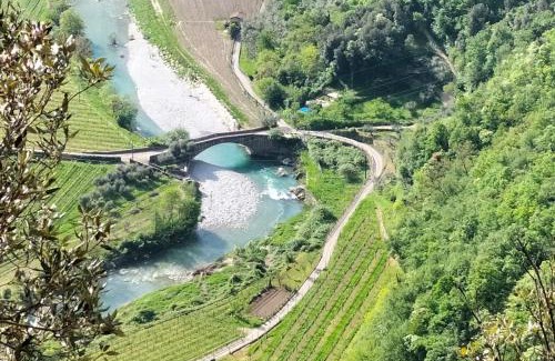 Ceniga Apartment | Appartamento Smart - Klimt