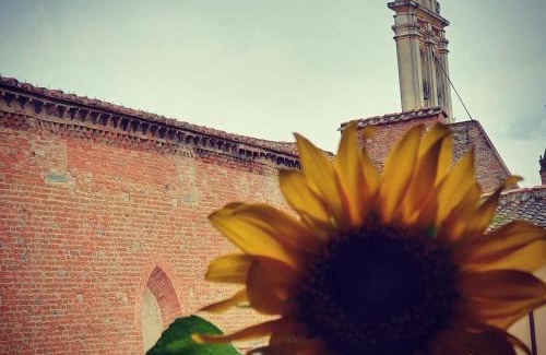 Castelfiorentino Apartment | APPARTAMENTS SAN FRANCESCO