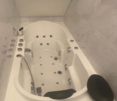 La Chapelle-Saint-Mesmin Apartment | Appartement climatisé avec jaccuzi