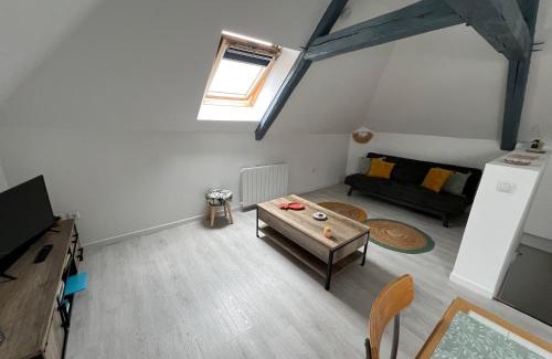 Saint-Brisson-sur-Loire Apartment | Appartement avec cours