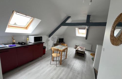 Saint-Brisson-sur-Loire Apartment | Appartement avec cours