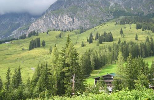 Muehlbach Am Hochkoenig Apartment | Appartementhaus Hochkönig 1- Schneeberg
