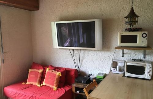 Saint-Etienne-de-Tinee Apartment | Appartement AURON + Jardin