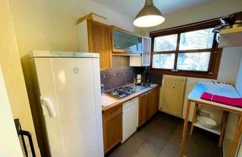 Saint-Etienne-de-Tinee Apartment | Appartement 2 pièces spacieux terrasse vues sur les pistes