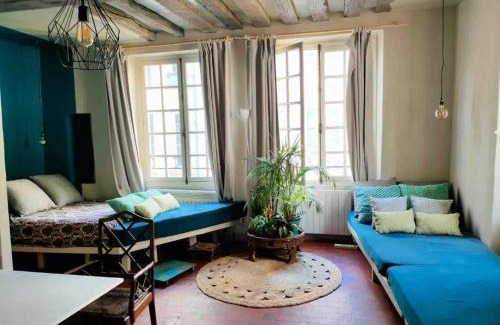 Les Iles Apartment | Appartement île Saint-Louis