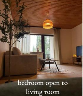 Triberg im Schwarzwald Apartment | Appartement 32