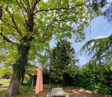Saint-Julien-en-Born Apartment | Appartement 4/6 pers, jardin, 6 km de la plage