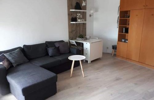 Neureichenau Apartment | Appartement Altreichenau