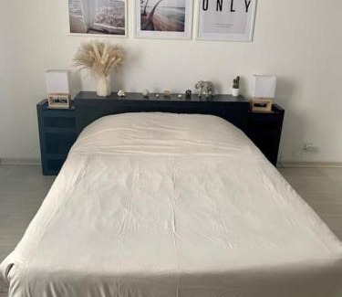 Albertville Apartment | Appartement au pied des montagnes