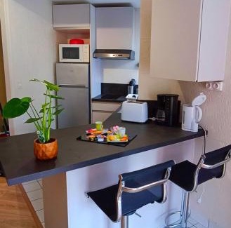 Haie Vigne Apartment | Appartement avec jardin - Centre-ville à 10 minutes à pied