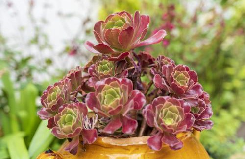 Bayonne Apartment | Appartement bord de Nive Bayonne