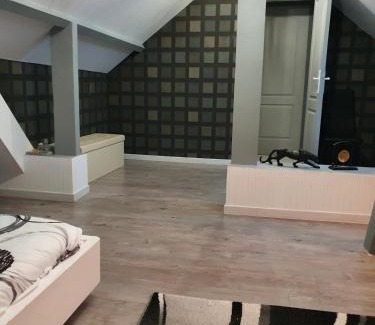 Chateau-Renault Apartment | appartement centre touraine