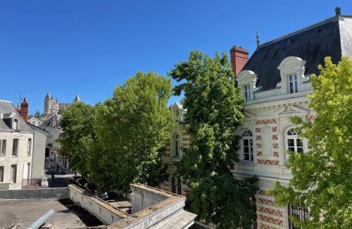 Saumur Apartment | Appartement centre ville climatisé vue Château