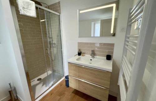 Saumur Apartment | Appartement centre ville climatisé vue Château