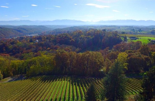 Jurancon Apartment | Appartement Château Perpignaa