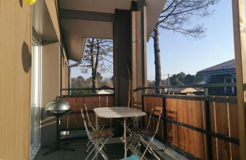 Lege-Cap-Ferret Apartment | APPARTEMENT CHRISTINE à Lège