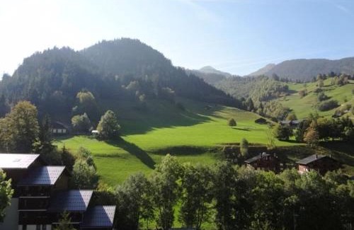 Areches Apartment | Appartement cosy à Arêches, 50m des pistes, terrasse ouest et piscine l'été - FR-1-342-249