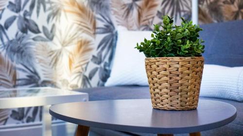 Epinal Apartment | Appartement Cosy - En face de la gare, au centre ville