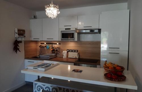 Soorts-Hossegor Apartment | Appartement de standing avec jardin privatif, proche du lac et du centre, parking inclus - FR-1-239-583