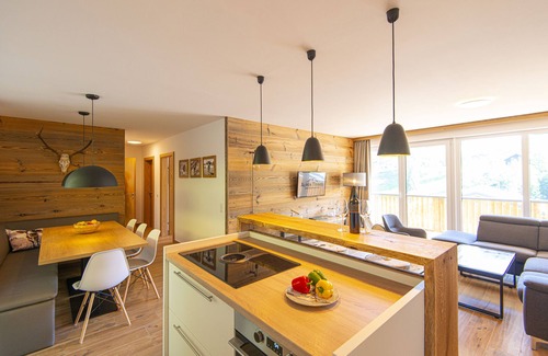 Wagrain Apartment | Appartement Dorf Wagrain Alpenleben