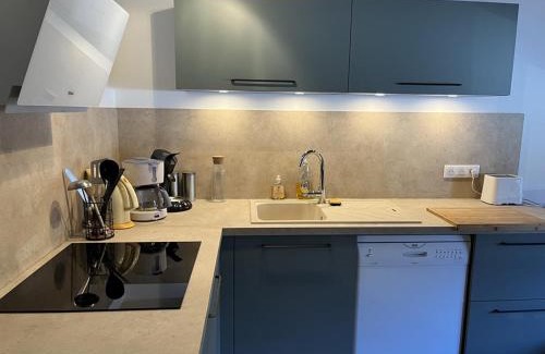 Laveissiere Apartment | Appartement duplex 6/8 pers, centre station, Le Lioran - FR-1-787-124