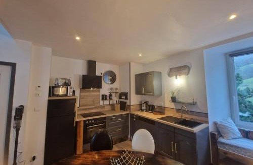 Beaucens Apartment | Appartement duplex beaucens