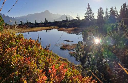 Eben im Pongau Apartment | Appartement Eben im Pongau