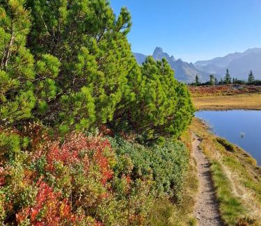 Eben im Pongau Apartment | Appartement Eben im Pongau