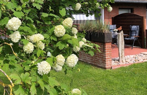 Garding Apartment | Appartement Eidernest in Garding für 2 Personen