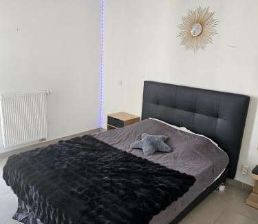 Benesse-Maremne Apartment | Appartement entier benesse maremne