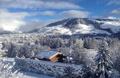 Megeve Apartment | Appartement Hameau des Pistes - Ski-in and Ski-out