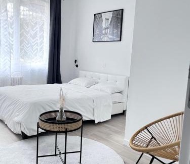 Anatole France Danton Apartment | Appartement hyper centre - Coty