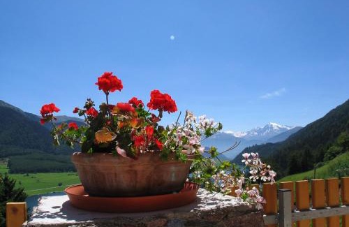 St. Valentin auf der Haide Apartment | Appartement Sunnleitn
