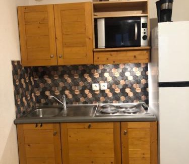 Fontcouverte-la-Toussuire Apartment | Appartement La Toussuire