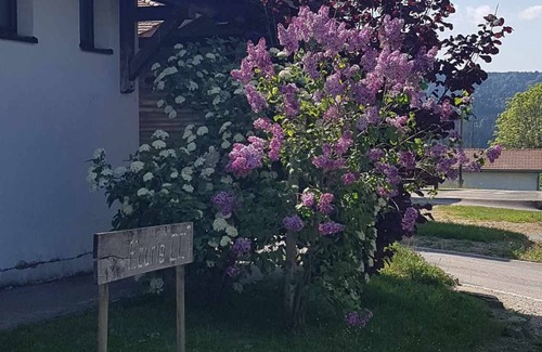La Chaux-des-Breuleux Apartment | Appartement Lai Mâjenatte