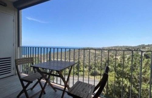 Banyuls-sur-Mer Apartment | Appartement lumineux 6 couchages, 3 pièces, parking, rénové, à 300m de la plage - FR-1-225C-131