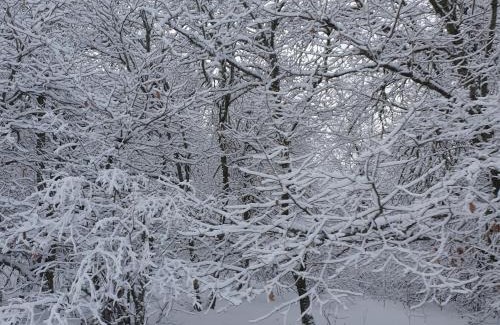 Le Thillot Apartment | Appartement lumineux 3 chambres, terrasse, proche commerces et ski, avec WiFi - FR-1-589-677