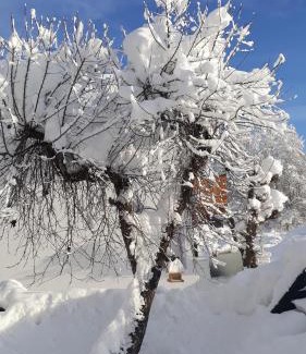 Kirchdorf in Tirol Apartment | Appartement Müllner