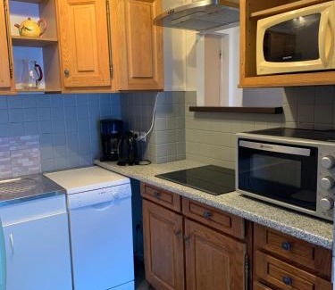 Vaujany Apartment | Appartement Matiski