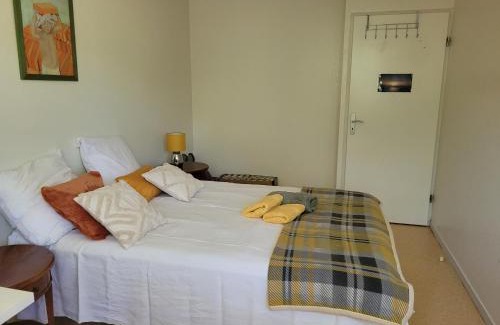 Chateau de l'Hers House | Appartement pechDavid SUD