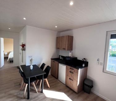 Cournon-dʼAuvergne Apartment | Appartement proche zenith "mizo"