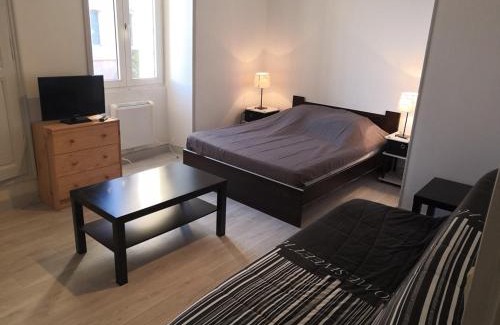 La Roche-Posay Apartment | Appartement rénové face aux Thermes, wifi, animaux OK, cour privée, pour 3/4 pers. à La Roche-Posay - FR-1-541-36