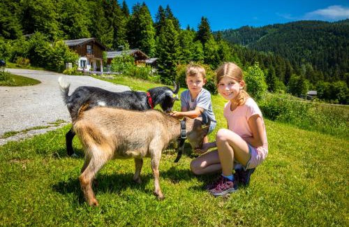 Krispl Apartment | Appartement Reitlhof, Bio Berg Bauernhof