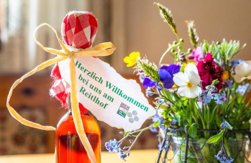 Krispl Apartment | Appartement Reitlhof, Bio Berg Bauernhof