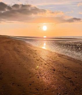 Bray-Dunes Apartment | Appartement sur la digue avec vue mer exceptionnelle !